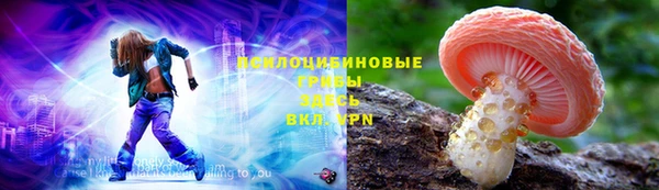 амф Няндома