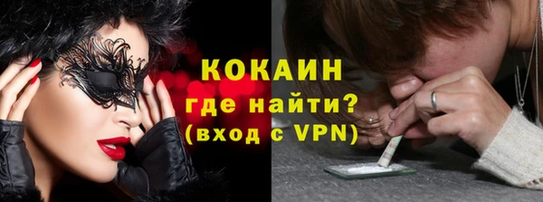 дживик Новодвинск