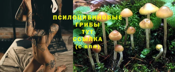 кокс Новозыбков
