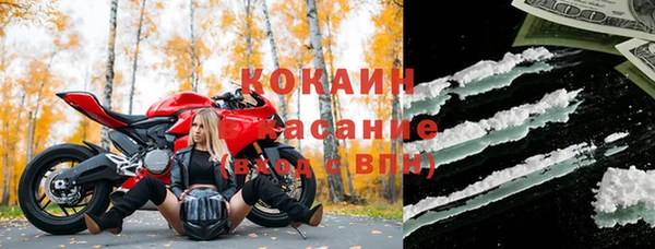 дживик Новодвинск