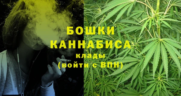 дживик Новодвинск
