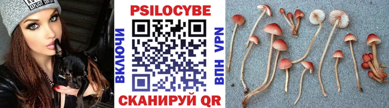 Галлюциногенные грибы ЛСД  гидра ONION  Нижняя Тура 